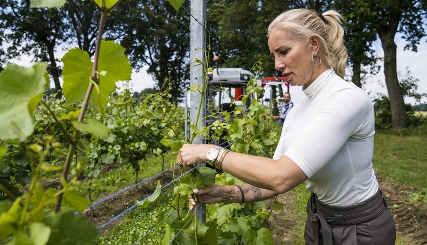 Ilse Swennen van domein De Steinberg