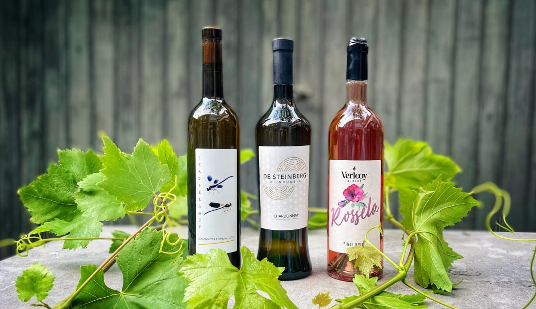 De nationale tasting, Belgische wijnen, Proeverij