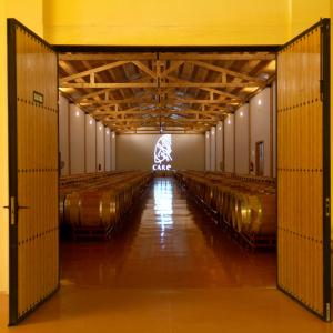 Care wijnen Bodegas Anadas - wijnkelder