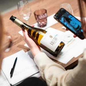 Wijncursus Wijnmondig in 1 maand - Vino Positivo in De Proeverij