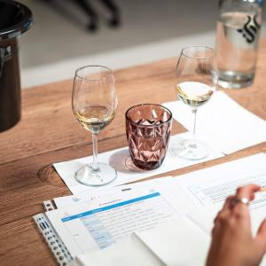 Wijncursus Wijnmondig in 1 maand - Vino Positivo in De Proeverij