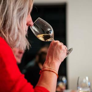 Wijncursus Wijnmondig in 1 maand - Vino Positivo in De Proeverij