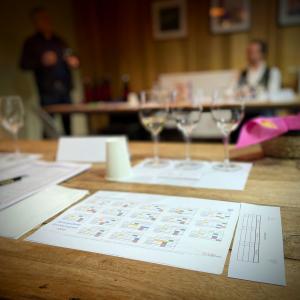 Het DNA van de belangrijkste wijndruiven