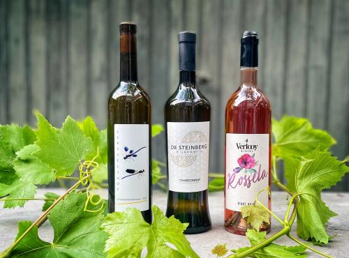 De nationale tasting, Belgische wijnen, Proeverij