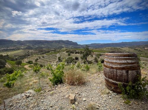 Al je vragen over wijn beantwoord